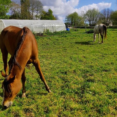 Chambres D'Hotes Et Gite D'Etape Avel Glaz Morlaix Zewnętrze zdjęcie